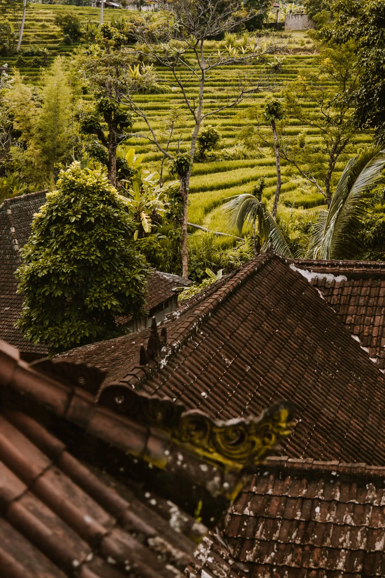 Rijstvelden Sidemen Bali