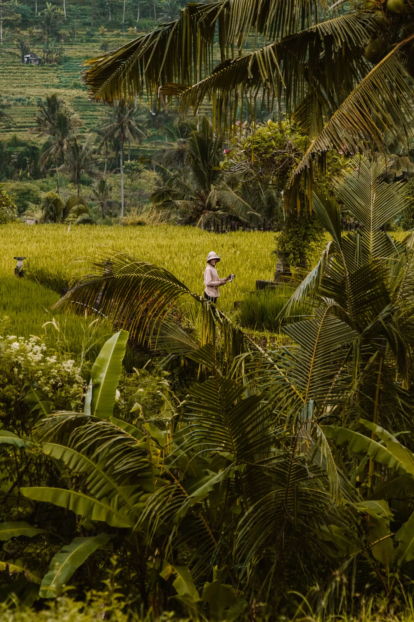 Sidemen Bali rijstvelden