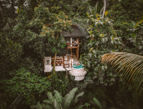 Bijzonder overnachten in Ubud: 4 X tips van eco-villa tot luxe boomhut