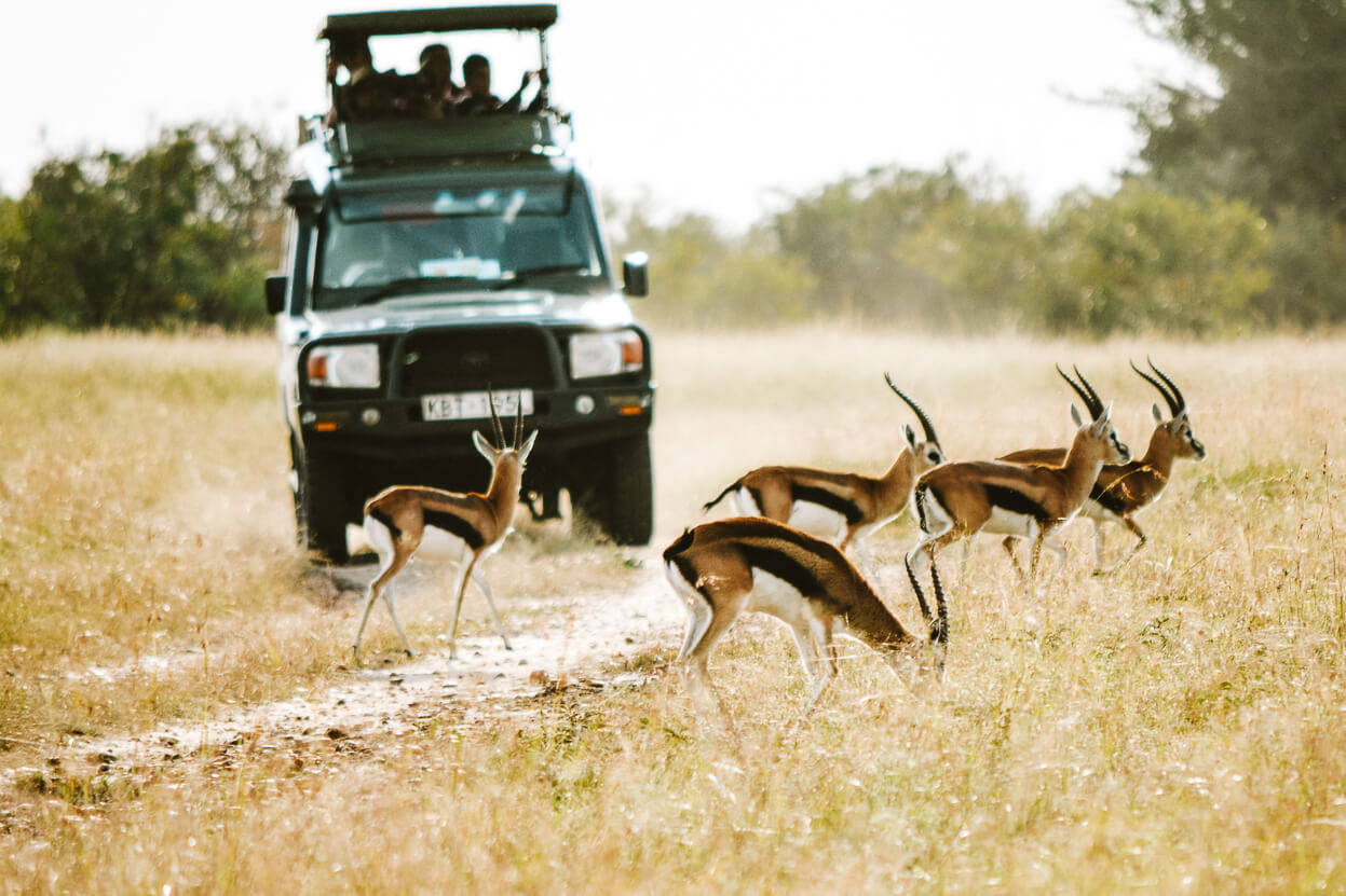 privé safari Zuid-Afrika