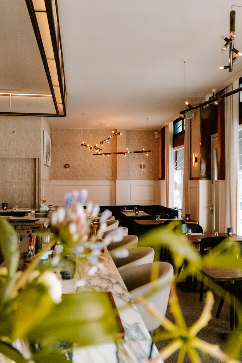 bistrot felino amsterdam-01